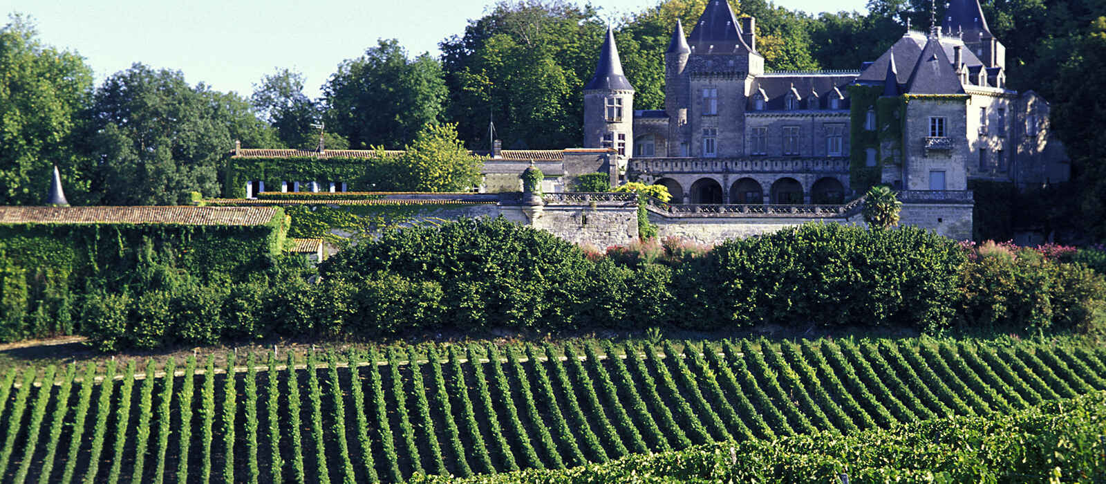 French Wineries Tour 2024