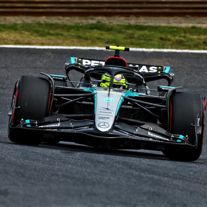 W15 Tribute - 2024 Size 1:1