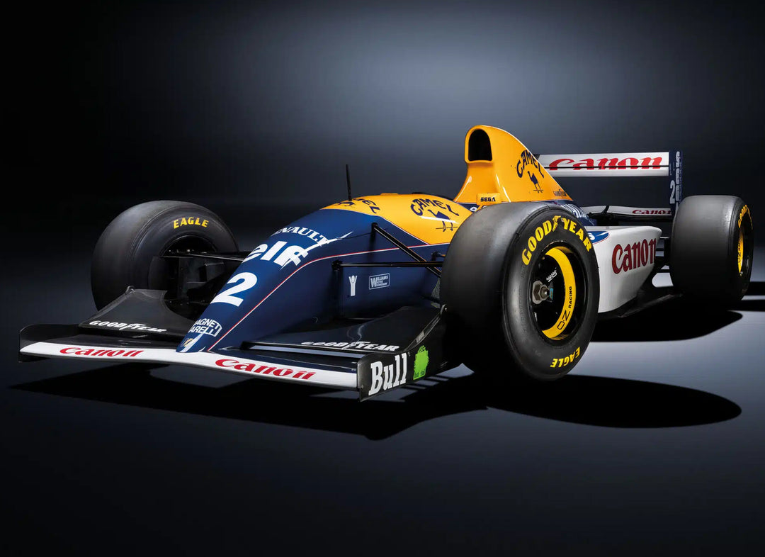 Williams FW15 Tribute - 1993 Size 1:1