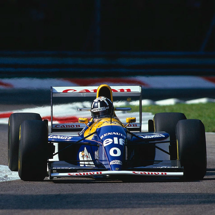 Williams FW15 Tribute - 1993 Size 1:1